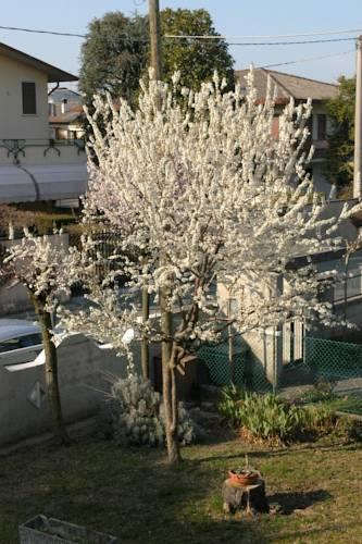Мини-отель Casa Irene