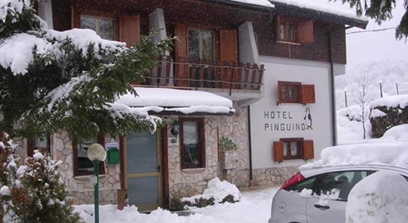 Отель Hotel Pinguino