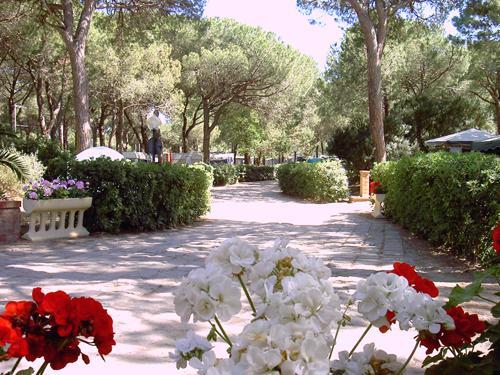 Отель Camping Village Il Sole