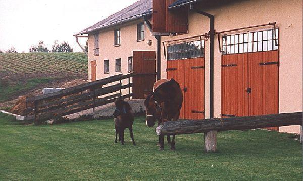 Апартаменты Holiday home Chmielno Kozyczkowo