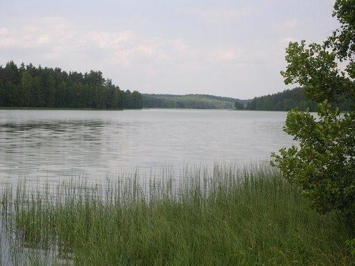Апартаменты Holiday home Studzienice Przewóz