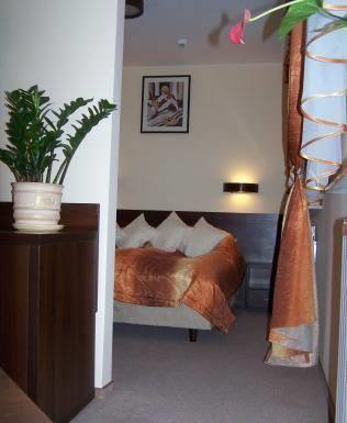 Отель Hotel Domino