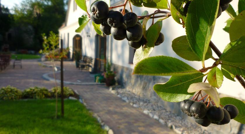 Отель Aronia Park