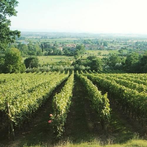 Отель Relais & Châteaux Il Falconiere