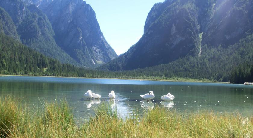 Отель Almhütte Goser