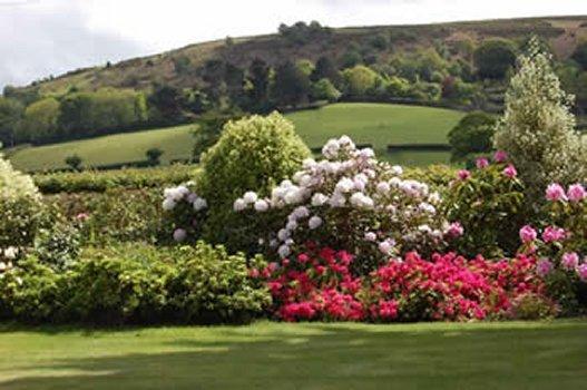 Гостевой дом Exmoor Country House