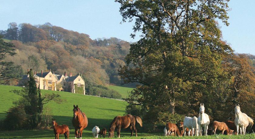 Отель Combe House Devon