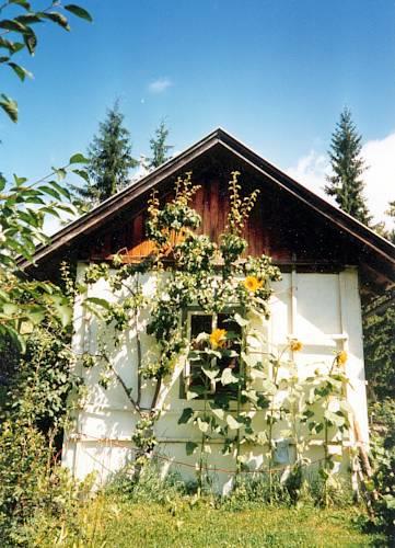 Апартаменты Haus zur Klamm