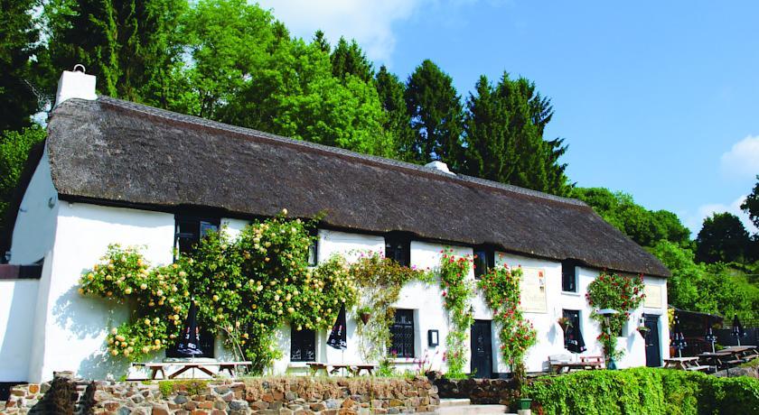Отель The Cridford Inn
