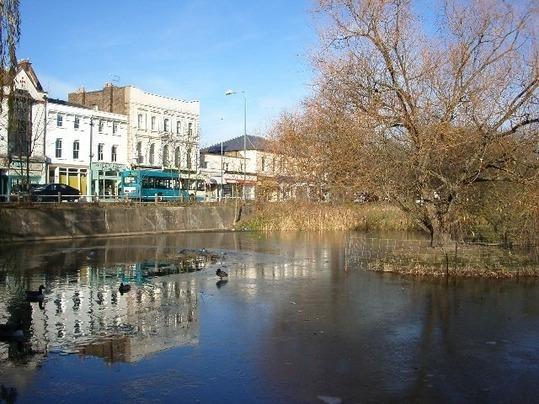 Апартаменты Woodford Green Apartment