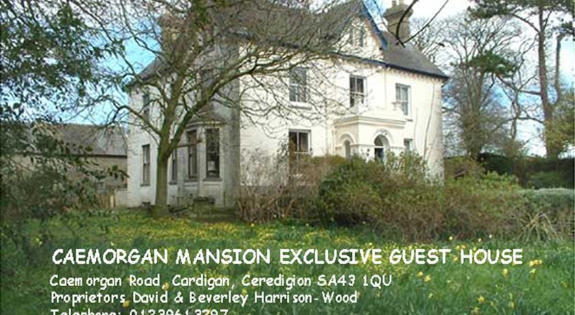 Гостевой дом Caemorgan Mansion