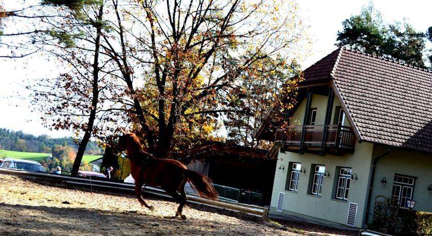 Апартаменты Appartements Freizeitzentrum Römerhütte