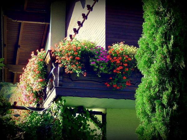 Appartement Ria