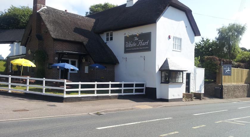 Отель White Hart Inn