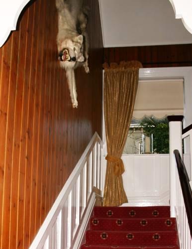 Мини-отель Number 8 Guesthouse