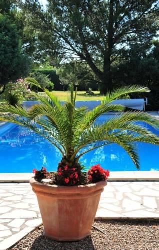 Мини-отель Chambre d'Hôtes Villa Catherine