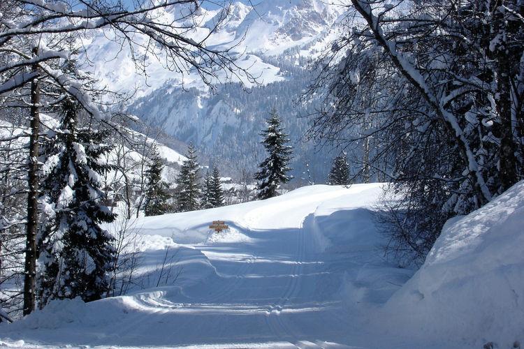 Апартаменты Le Grand Bornand Chinaillon III