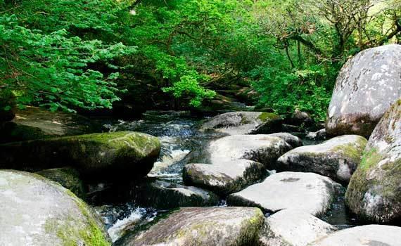 Мини-отель Moulin de la Civiere