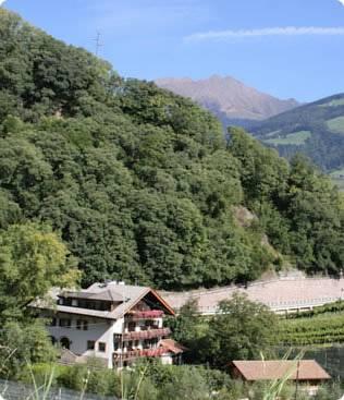 Мини-отель Tannerhof