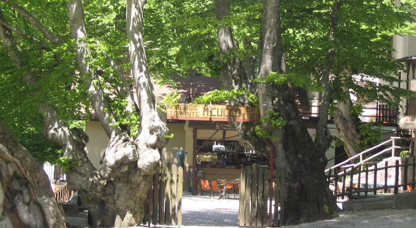 Отель Albergo Ristorante Montecucco da Tobia