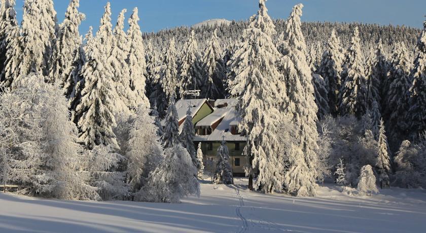 Отель Waldhotel Achtermannstor