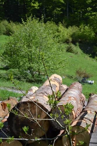 Отель Domaine des Fines Fleurs du Terroir