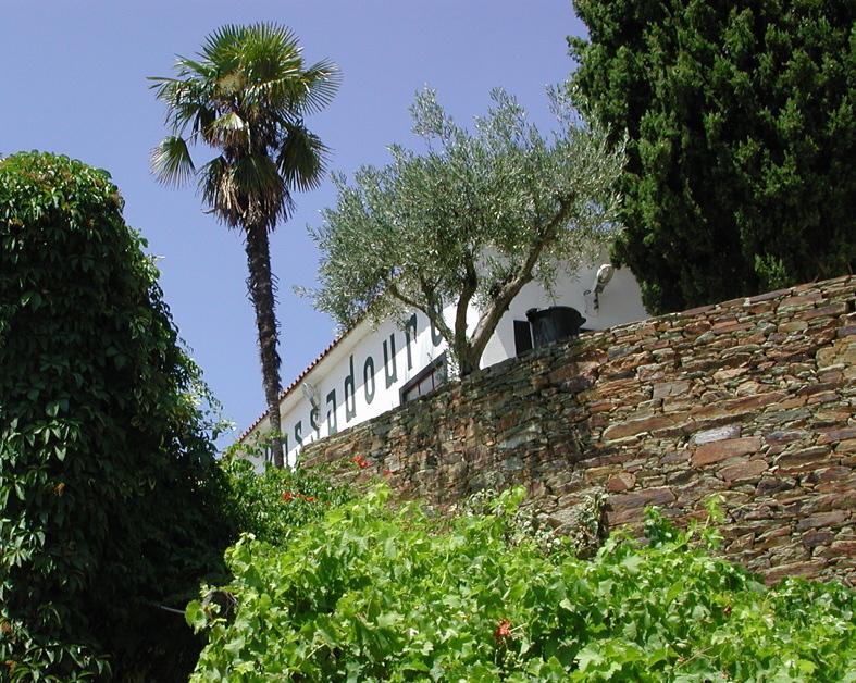 Мини-отель Quinta do Passadouro