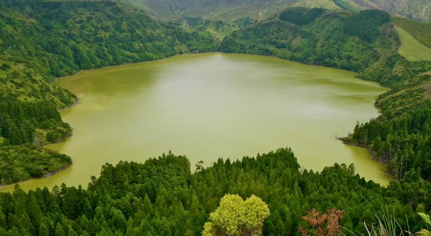 Гостевой дом Alojamentos Flores Island