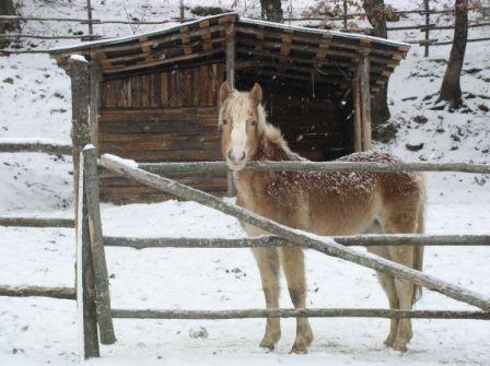 Отель Agriturismo Il Mugello