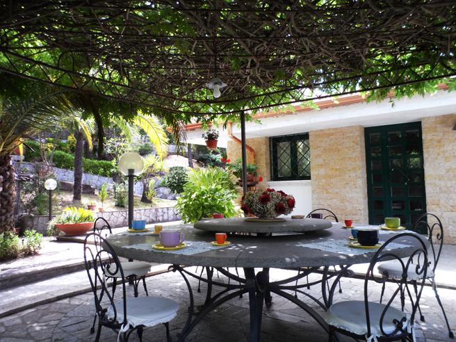Мини-отель Bed and Breakfast El Dueño