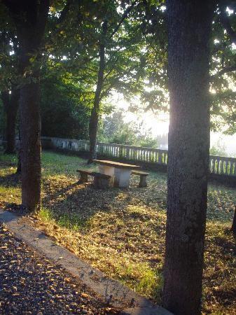 Отель Agriturismo Il Cavallone