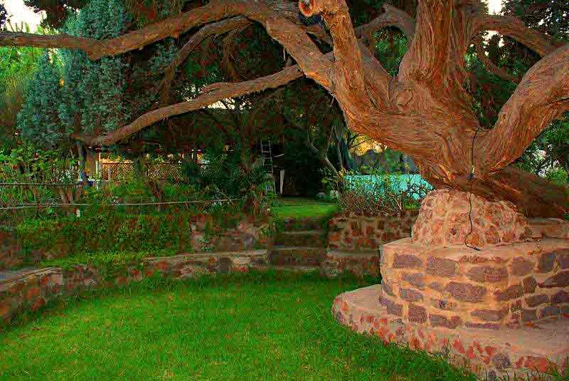 Мини-отель B&B Il Giardino Dacri