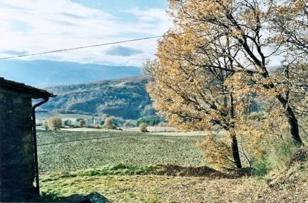 Отель Agriturismo La Casa Bianca