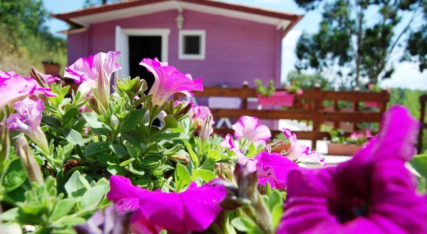 Отель Agriturismo Poggiocolone