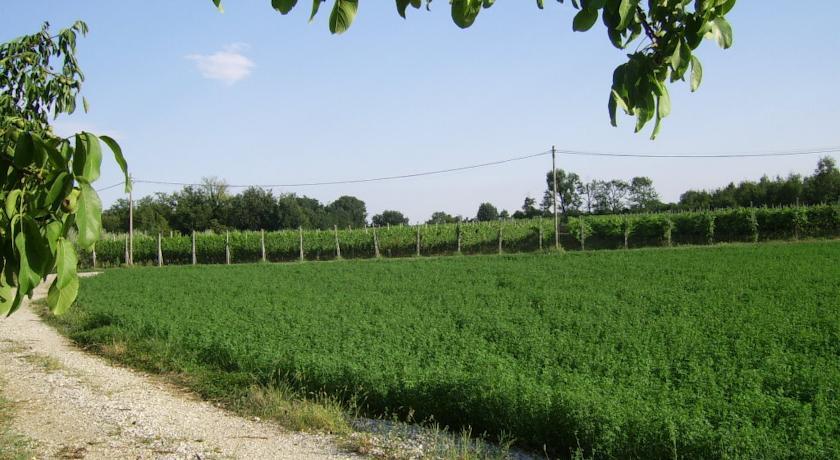 Отель Agriturismo La Falcadura
