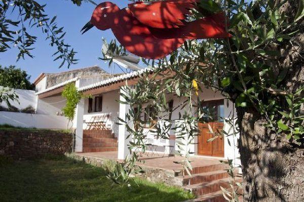 Апартаменты Casa das Cores