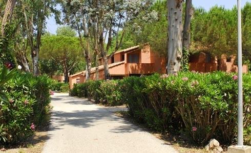 Отель Soko Resort