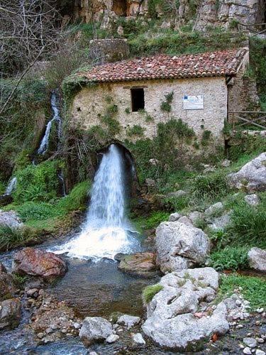 Отель Locanda il Salice