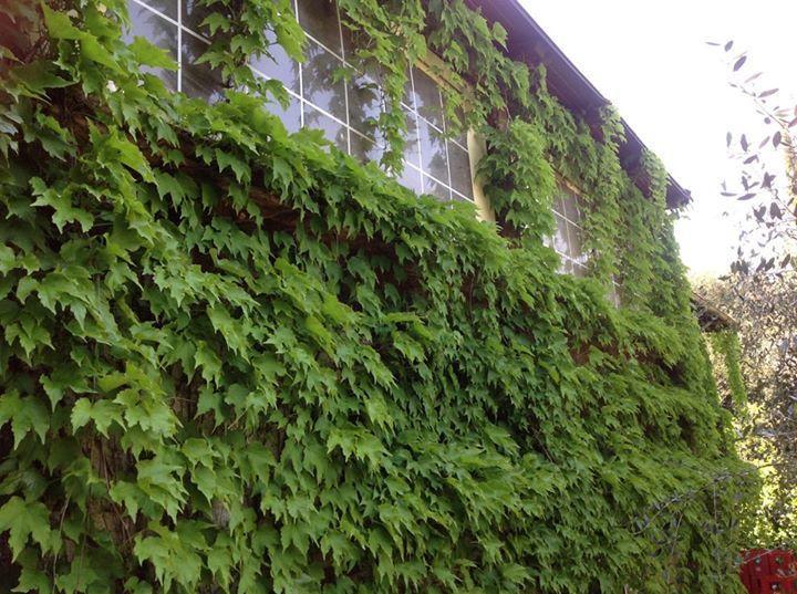 Отель Agriturismo Ulivarella