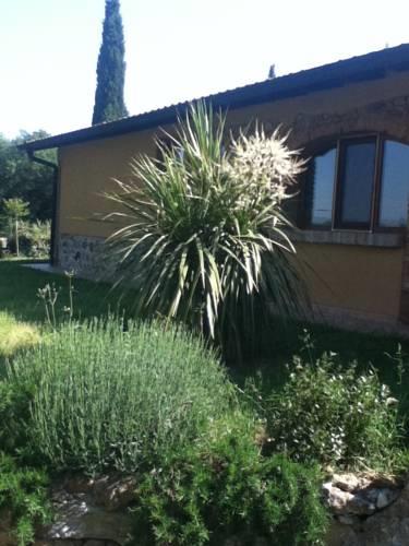 Отель Agriturismo Podere Mulinaccio
