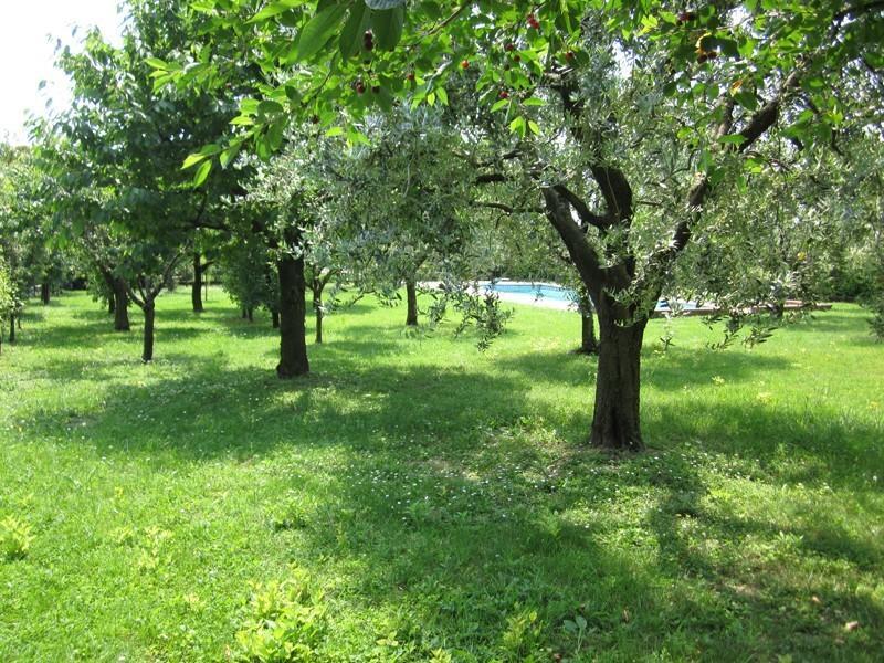 Мини-отель Villachopin