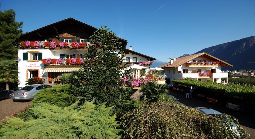 Отель Hotel Traubenheim