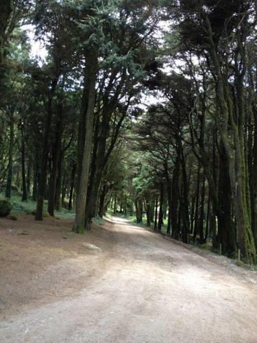 Quinta Do Arco Da Velha