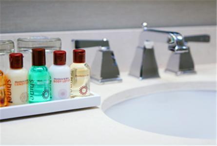 Отель Sheraton Chicago Northbrook Hotel
