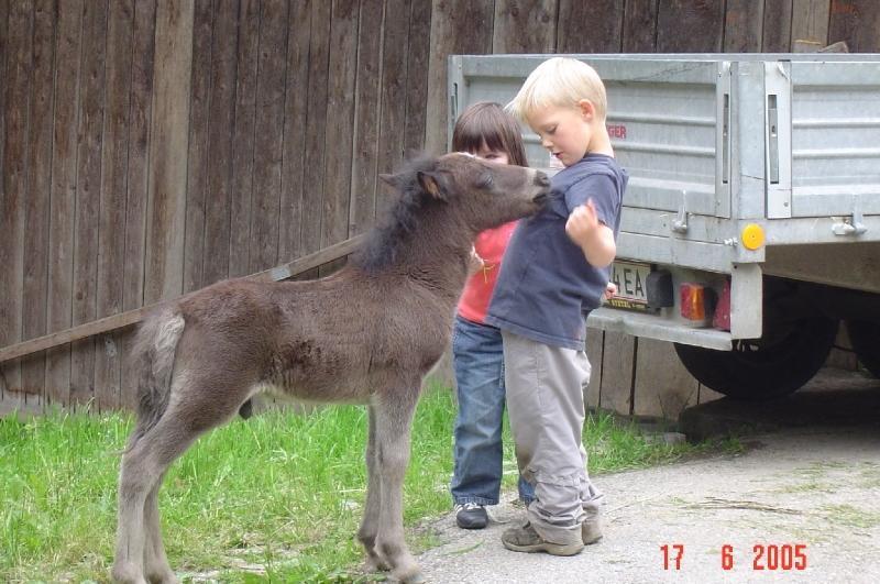 Blankgut Familie Berner