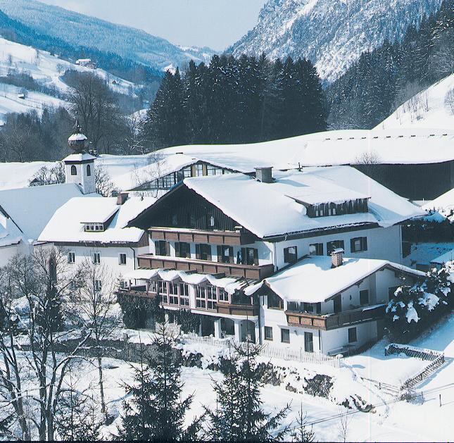 Отель Hotel Pension Theresia