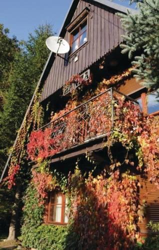 Апартаменты Holiday home Swieradów Zdrój Ul. Sybiraków