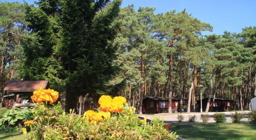 Отель Ośrodek Portus