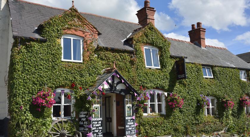 Отель Golden Lion Inn