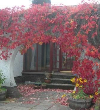 Мини-отель Woodlands Bed and Breakfast